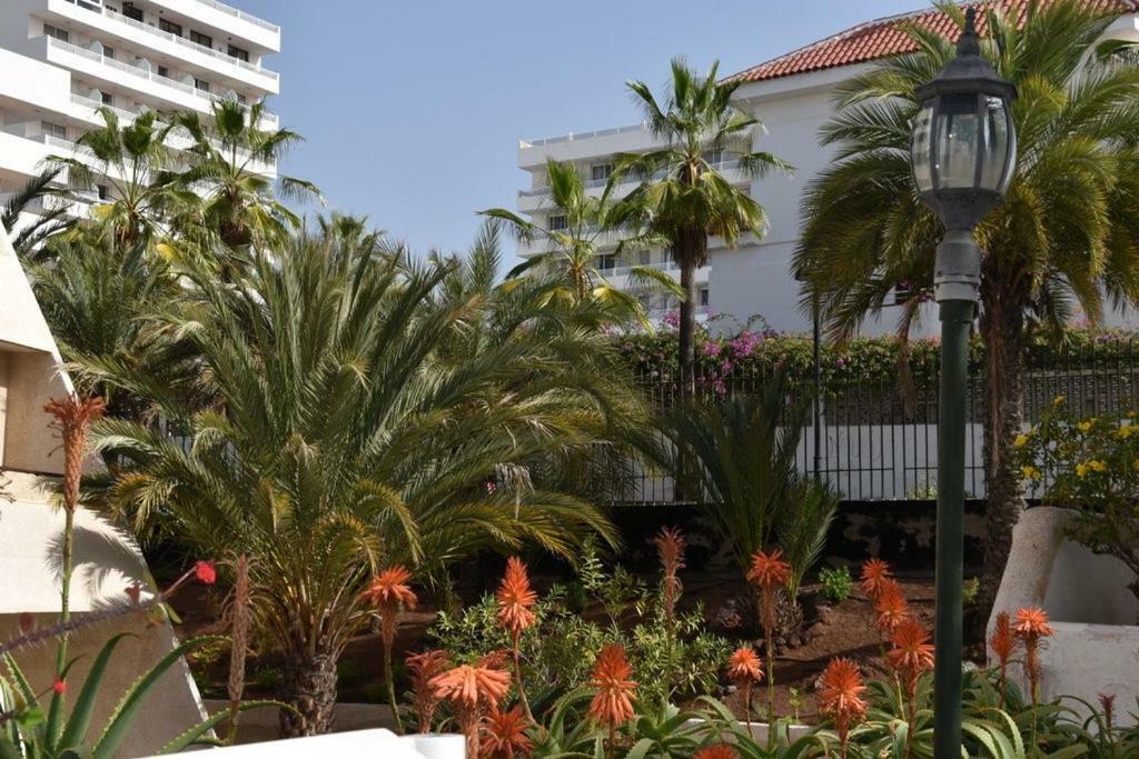 Appartement Veronicas